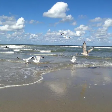 Cozy Coastal Tent 's-Gravenzande