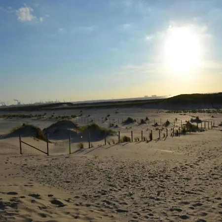 Luxury tent Cozy Coastal Tent 's-Gravenzande