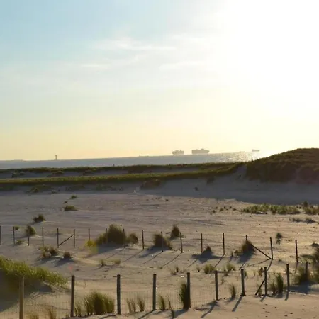 Cozy Coastal Tent Luxury tent 's-Gravenzande